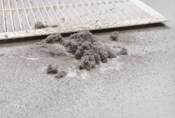 Best HVAC Duct Inspection Services  in Eagle Lake, MN