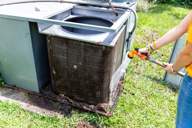 Best Local Air Duct Cleaning Services  in Eagle Lake, MN