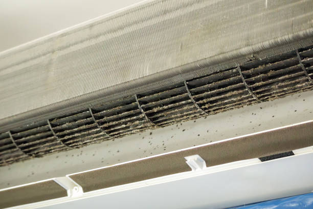 Best Home Air Vent Cleaning  in Eagle Lake, MN