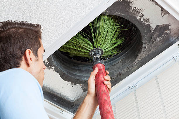 Best HVAC Duct Inspection Services  in Eagle Lake, MN