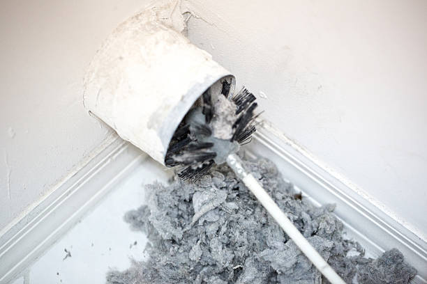 Best Best Air Duct Cleaning Near Me  in Eagle Lake, MN